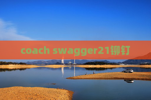 coach swagger21铆钉
